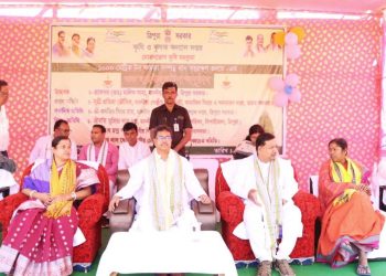 কৃষি ক্ষেত্রের উন্নয়নে বিশেষ অগ্রাধিকার দিয়েছে বর্তমান সরকার।