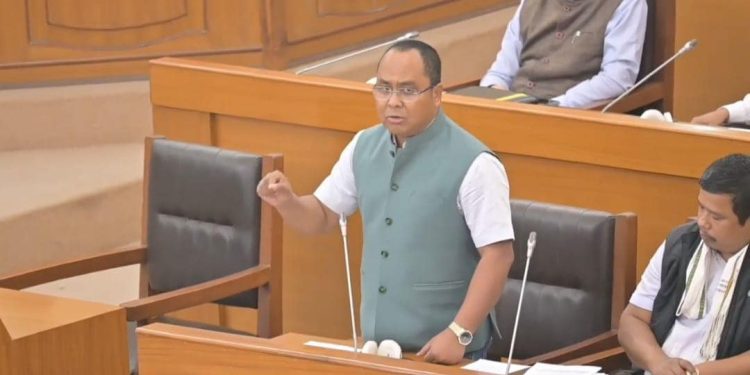 বিরোধী দলনেতা হিসেবে নির্বাচিত হলেন তিপ্রামথার বিধায়ক অনিমেষ দেববর্মা।