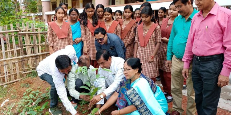 বৃক্ষরোপণ কর্মসূচিতে মেয়র