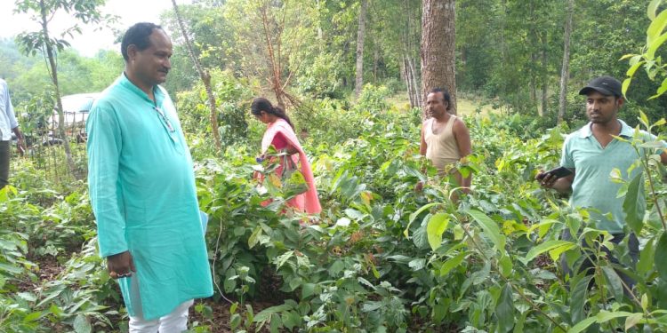 ৪মে  সকালে ধর্মনগর বিধানসভার আলগাপুর গ্রামের প্রাপকদের আগর বাগান দেখতে যান উত্তর জেলা পরিষদের Poverty Alleviation Standing Committe’র প্রেসিডেন্ট