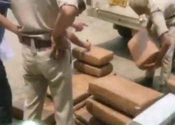 অভিনব কায়দায় গাঁজা পাচার করতে গিয়ে রক্ষা পেল না পাচারকারী,