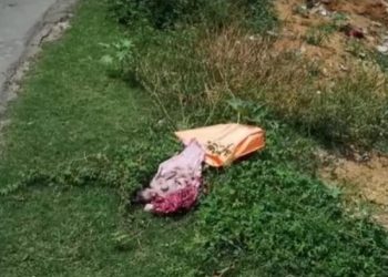 ব্যাগের মধ্যে নবজাত শিশুর মৃতদেহ উদ্ধার