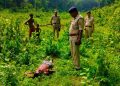 বাগমায় রাবার বাগানে সাত সকালে এক অজ্ঞাত পরিচয় ব্যক্তির মৃতদেহ উদ্ধার!