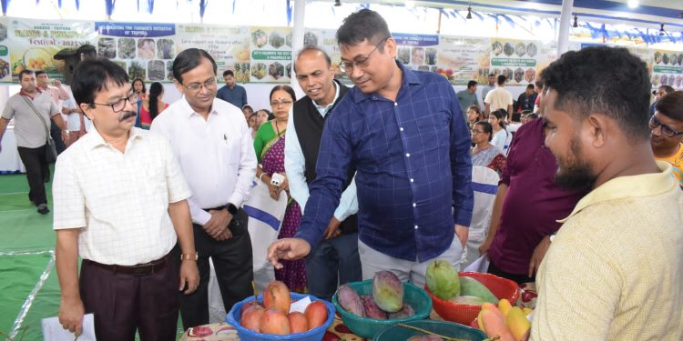 ম্যাঙ্গু ও পাইনাপেল  ফেস্টিবল করা হয় চিলড্রেন পার্কে দু দিন হবে এই ফেস্টিবল