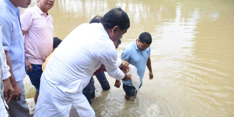 জলাশয়ে মাছের পোনা ছাড়লেন মাননীয় মেয়র দীপক মজুমদার।