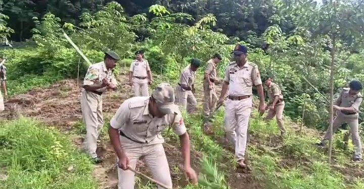 গোপন খবরের ভিত্তিতে সোমবার, সাত সকালে যাত্রাপুর থানার পুলিশ, কালিখলা এডিসি ভিলেজের লেদ্রা বাড়ি পাড়ার জঙ্গলে অভিযানে নেমে বেশ কিছু গাঁজা নার্সারি কেটে ধ্বংস করে দিয়েছে.