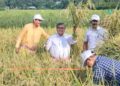 ধান কাটার আনন্দে কৃষকদের পাশে কৃষি মন্ত্রী রতন লাল নাথ। আগরতলা পুর নিগমের ১ নং ওয়ার্ডের লঙ্কামুড়া গ্রামে কৃষকদের সঙ্গে ধান কাটায় অংশগ্রহণ করলেন তিনি।