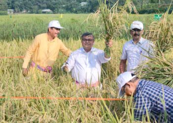 ধান কাটার আনন্দে কৃষকদের পাশে কৃষি মন্ত্রী রতন লাল নাথ। আগরতলা পুর নিগমের ১ নং ওয়ার্ডের লঙ্কামুড়া গ্রামে কৃষকদের সঙ্গে ধান কাটায় অংশগ্রহণ করলেন তিনি।