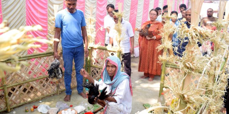 প্রচলিত রীতি ও ঐতিহ্য মেনে আনন্দ-উৎসাহে রাজ্যজুড়ে পালিত হলো গড়িয়া পূজা, রাজধানী আগরতলাতেও ছিল উৎসবের জোয়ার।