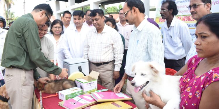 বিশ্ব জলাতঙ্ক দিবস উপলক্ষে অভয়নগর রাজ্য পশুচিকিৎসা হাসপাতাল ও পলিক্লিনিকে বিশেষ কর্মসূচি। “একসাথে আমরা আরও শক্তিশালী” বার্তাকে সামনে রেখে পোষ্য ও অন্যান্য প্রাণীর জন্য বিনামূল্যে জলাতঙ্ক প্রতিষেধক টিকাদানের ব্যবস্থা করা হয়।